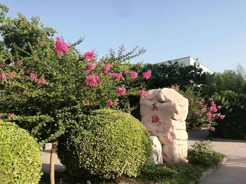 泰普瑞电力厂区